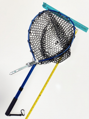 Wholesale price for 40CM/2 sections, mesh depth 25CM, 35CM/plastic mesh bag, 50 pieces.